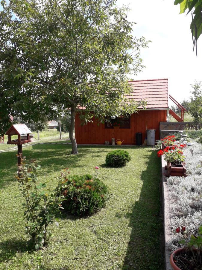 Matyas Apartman Tard Luaran gambar