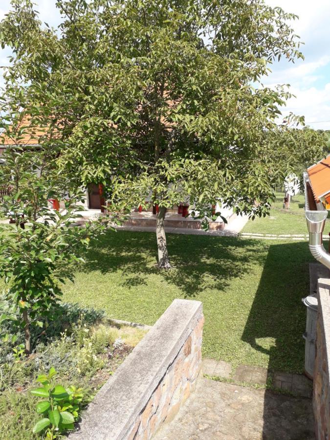 Matyas Apartman Tard Luaran gambar